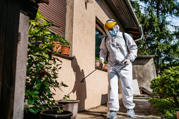Best Pest Inspection Near Me  in Hainesvle, IL