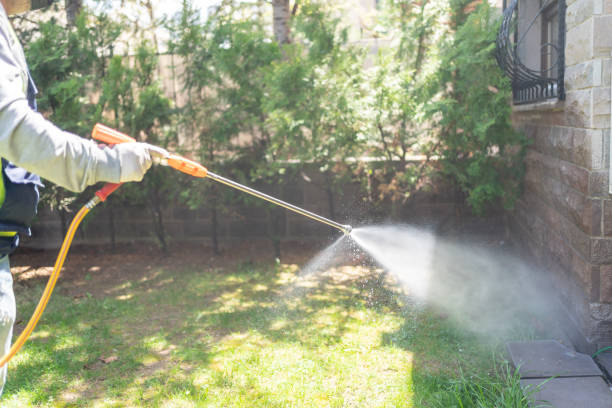 Best Rodent Control Near Me  in Hainesvle, IL
