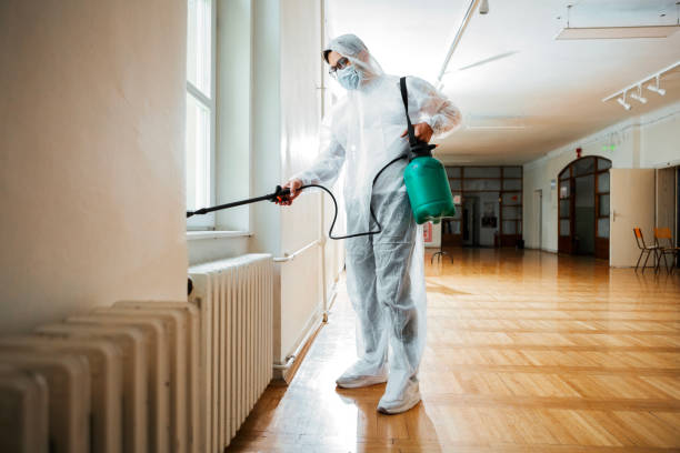Best Wasp Removal Services  in Hainesvle, IL